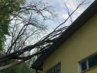 Weiterlesen: Umgestürzter Baum auf Wirtschaftsgebäude